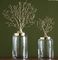 Household Decorative Metal Glass ODM Handcraft Storage Pot Decorative Arts and Crafts