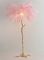 Brass Floor Stand 0.8 Meter Pink Ostrich Feather Lamp