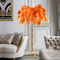 Brass Stand Orange Color 110 Volt Ostrich Feather Lamp