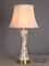AC220V Decorative Table Lamp