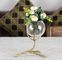 Home Decorative 220mm 280mm 170mm Chandelier Flower Vase